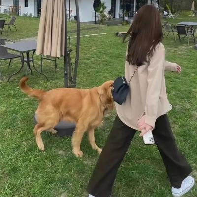 倦怠